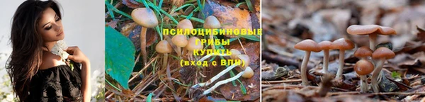 MDMA Premium VHQ Касимов