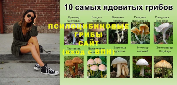 стаф Карталы